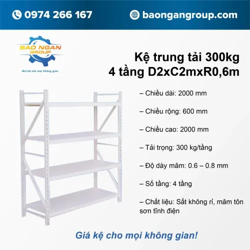 Kệ trung tải 300kg 4 tầng Dài 2m Cao 2m Rộng 6m